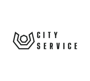 city_service
